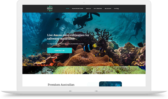 Reefaz – Corals, Invertebrates, and Fish Cultivation Web Design and Development in Australia