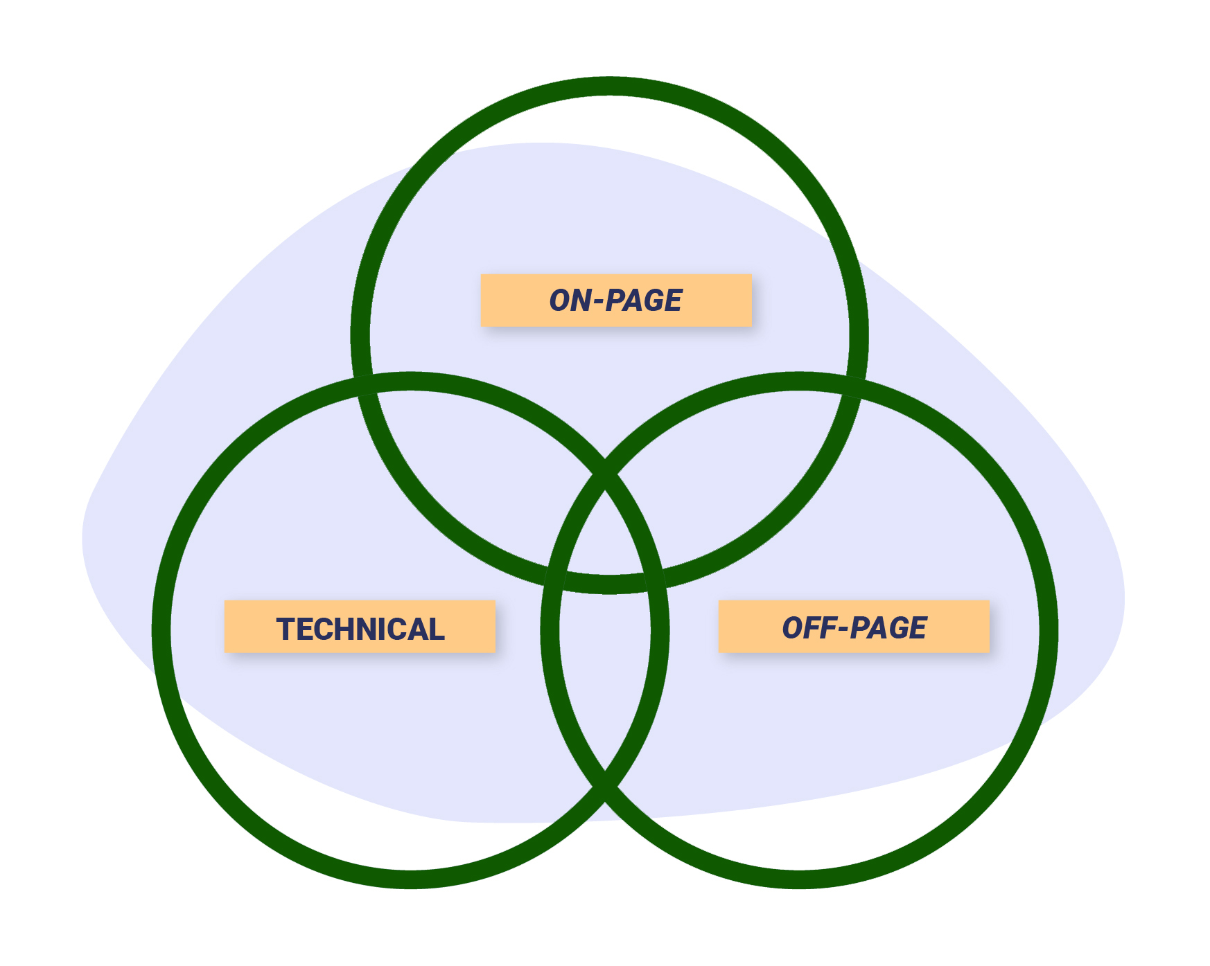 services Gold Coast SEO consultant offer